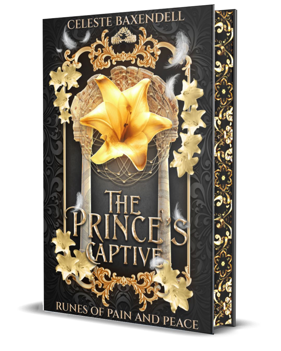 The Prince's Captive